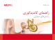 25409 2.0 Candidacy Guidelines Booklet (farsi) (offset)